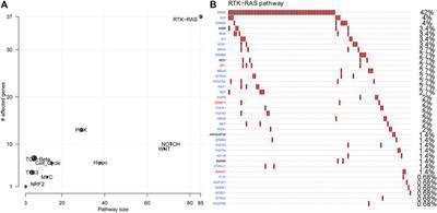 Characterization of Genomic Alterations in Colorectal Liver Metastasis and Their Prognostic Value